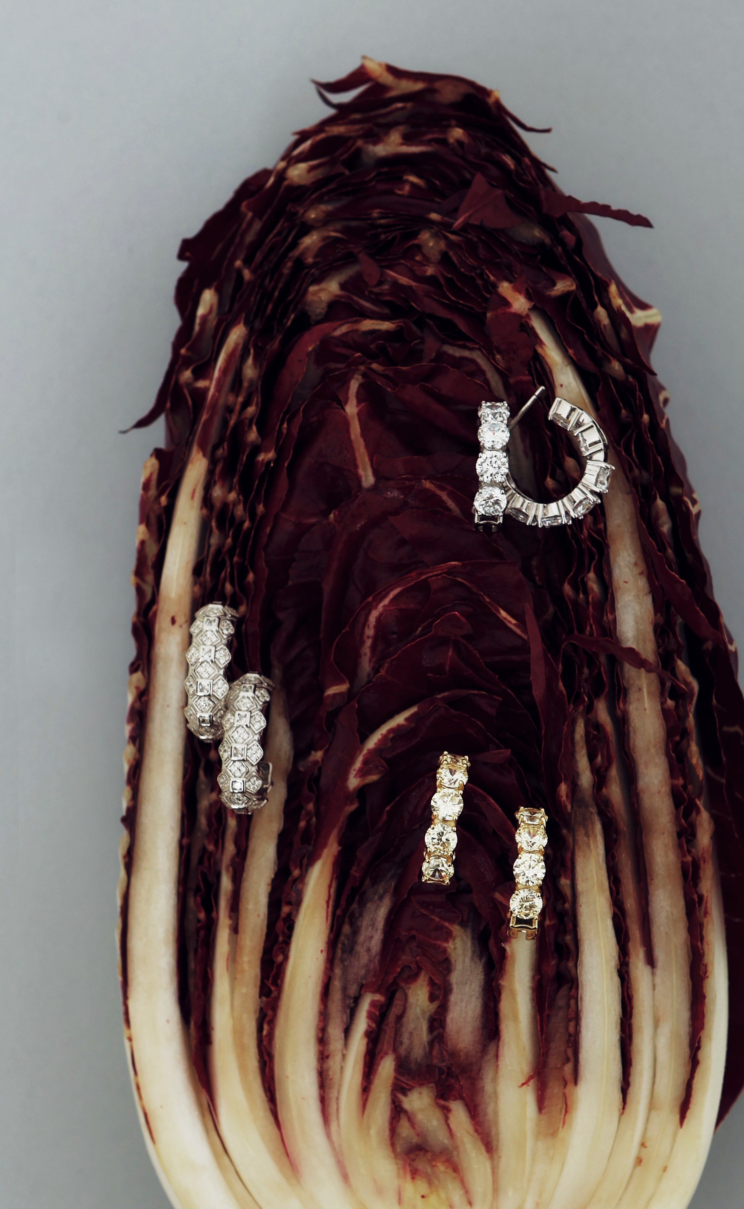 THE TIMELESS CHAPTER