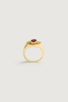 THE DOILY RING