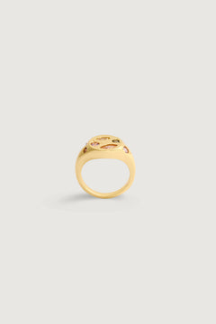 THE HARMONY RING