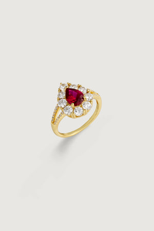 HERA RING