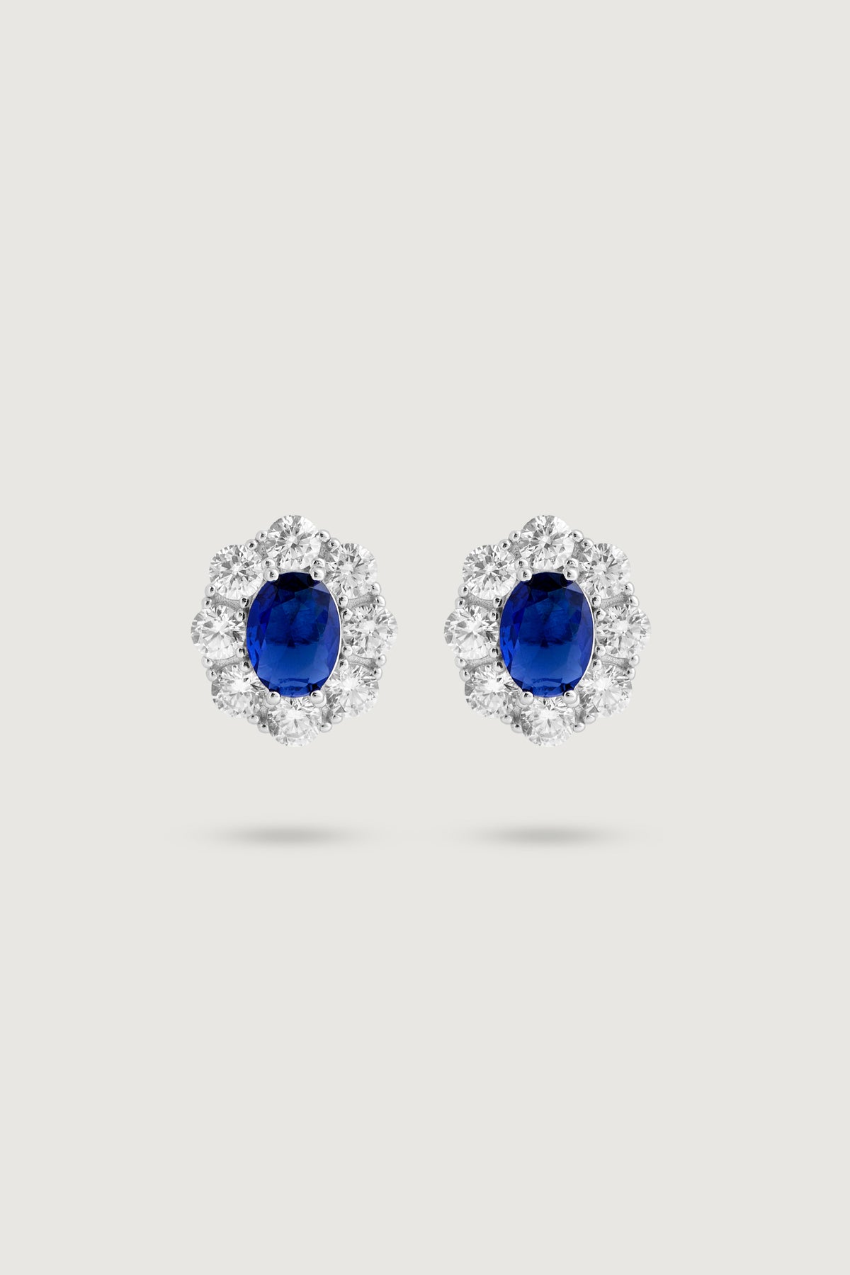 THE NOAH EARRING