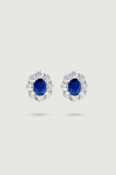 THE NOAH EARRING